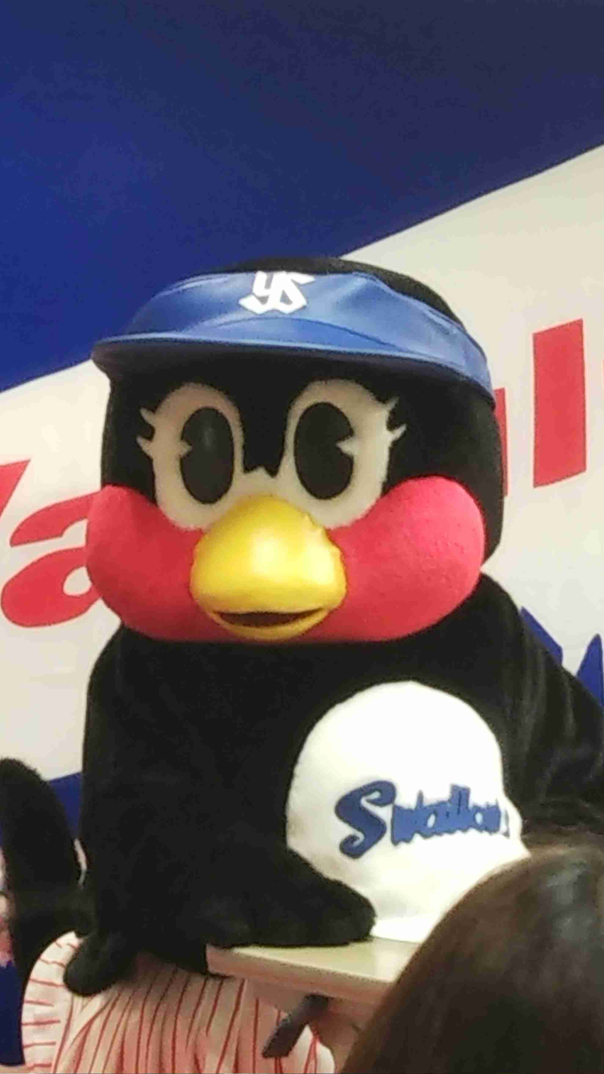 つば九郎とドアラを交互に貼り、時々 他球団マスコットが貼られるトピ