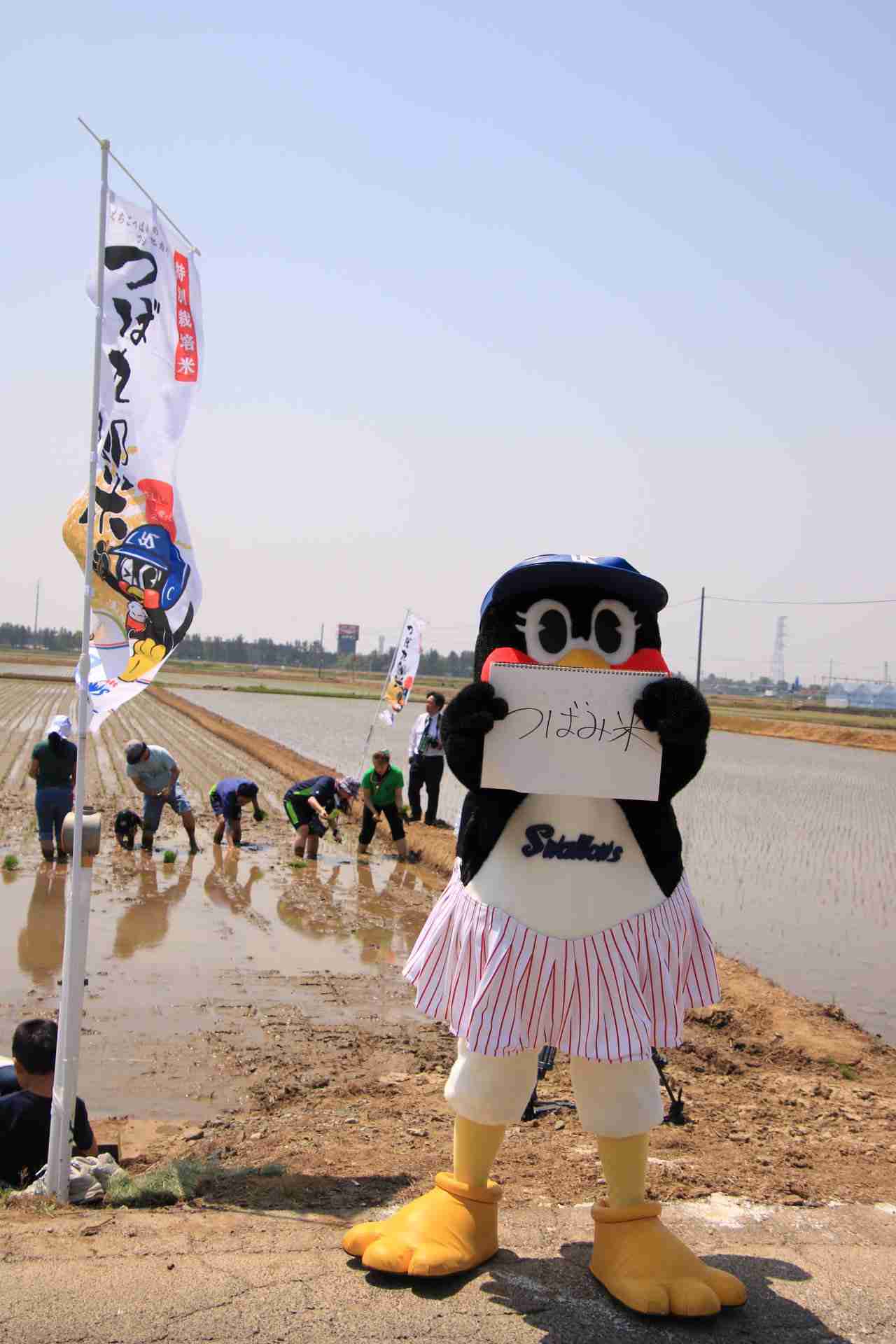 つば九郎とドアラを交互に貼り、時々 他球団マスコットが貼られるトピ