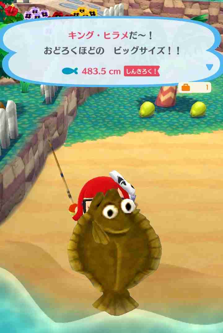 【ポケ森】どうぶつの森ポケットキャンプ【part20】