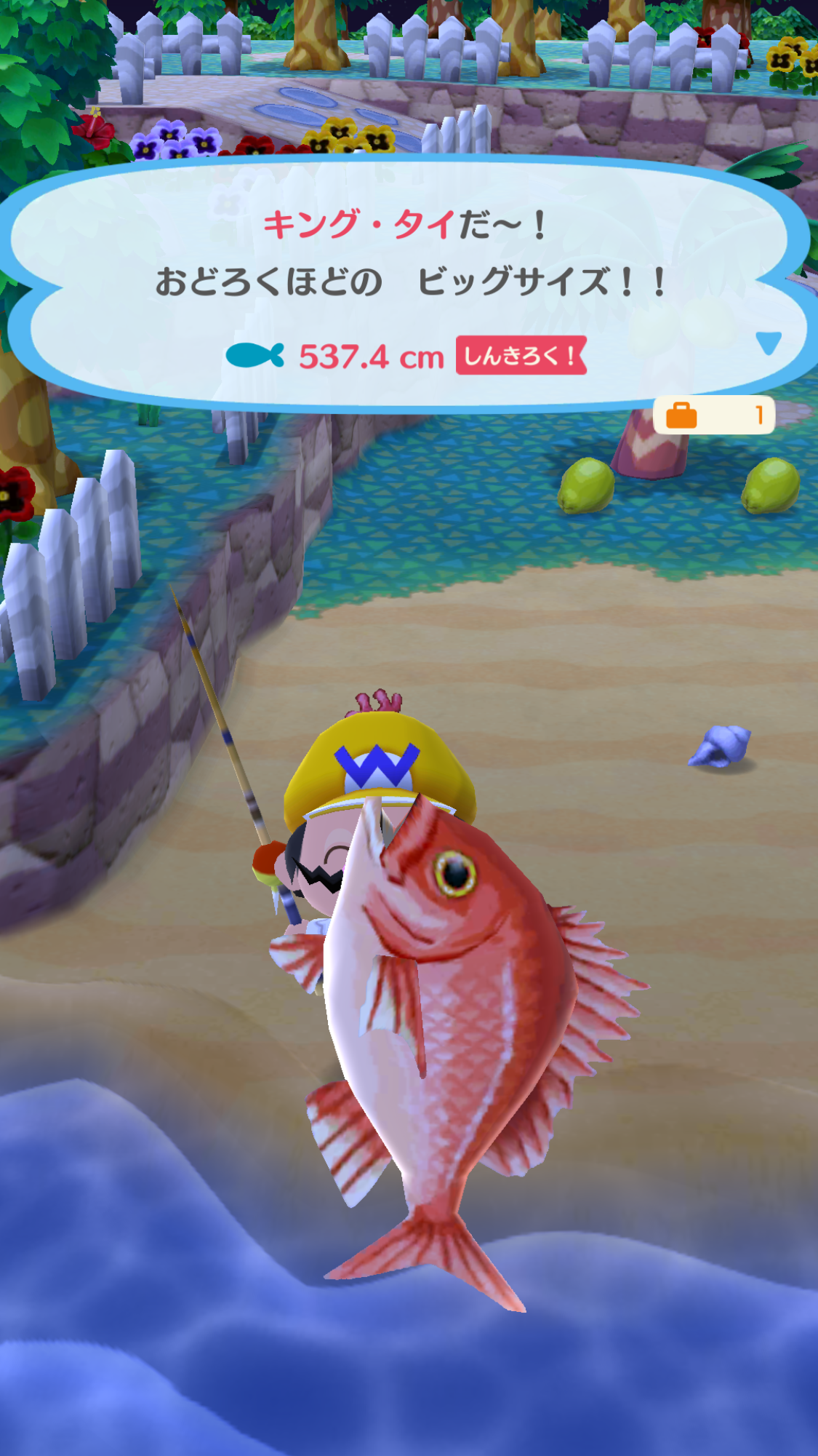 【ポケ森】どうぶつの森ポケットキャンプ【part20】