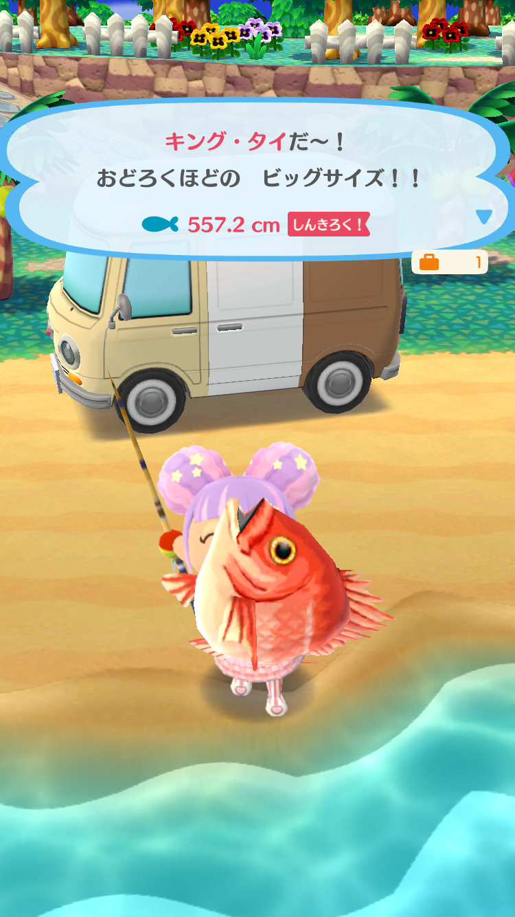 【ポケ森】どうぶつの森ポケットキャンプ【part20】