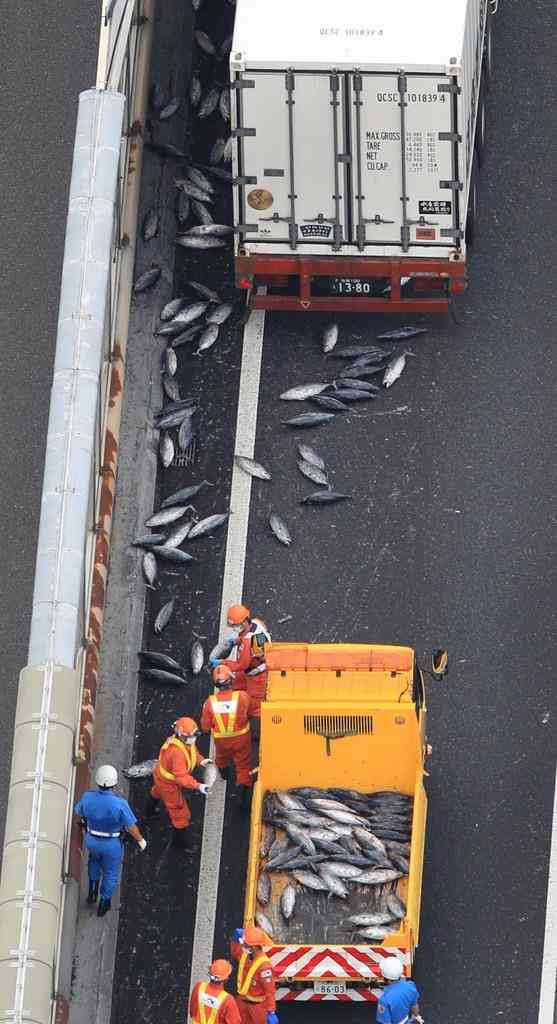 「高速道に大量カツオ散乱」トラック荷台の扉開く
