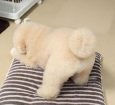 フワフワしたものを書いて癒され、7の倍数でカチカチしたものを書いて気を引き締めるトピ