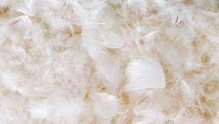 フワフワしたものを書いて癒され、7の倍数でカチカチしたものを書いて気を引き締めるトピ