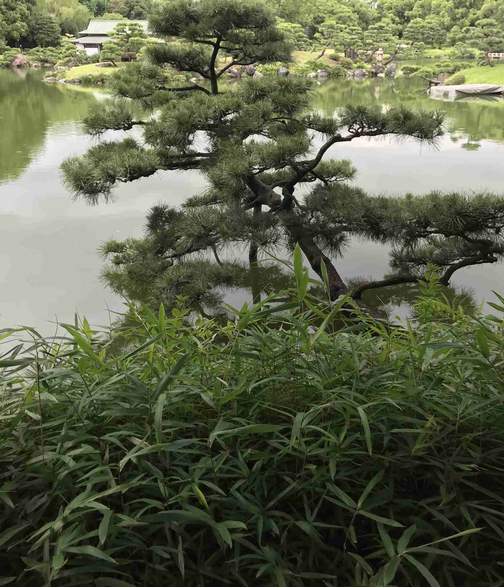 憂鬱な月曜日の気分が良くなる方法。
