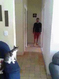 【ネタ画像＆GIF】とにかく癒してくれよ！のトピ