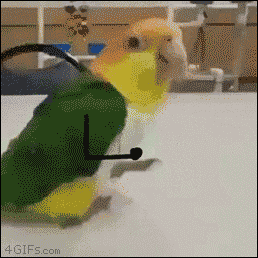 【ネタ画像＆GIF】とにかく癒してくれよ！のトピ