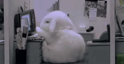 【ネタ画像＆GIF】とにかく癒してくれよ！のトピ