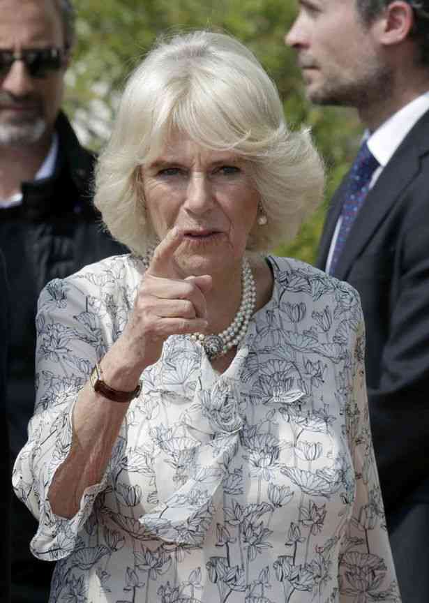 ショーン・メンデス&カミラ・カベロに交際説再び 手を繋ぎショーンの自宅へ