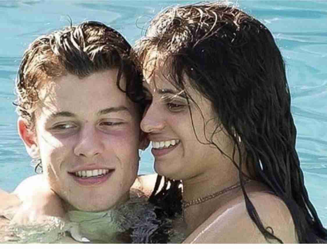 ショーン・メンデス&カミラ・カベロに交際説再び 手を繋ぎショーンの自宅へ