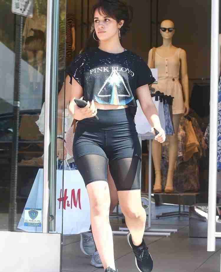 ショーン・メンデス&カミラ・カベロに交際説再び 手を繋ぎショーンの自宅へ