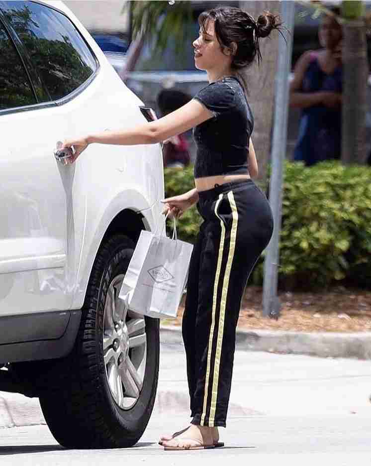 ショーン・メンデス&カミラ・カベロに交際説再び 手を繋ぎショーンの自宅へ