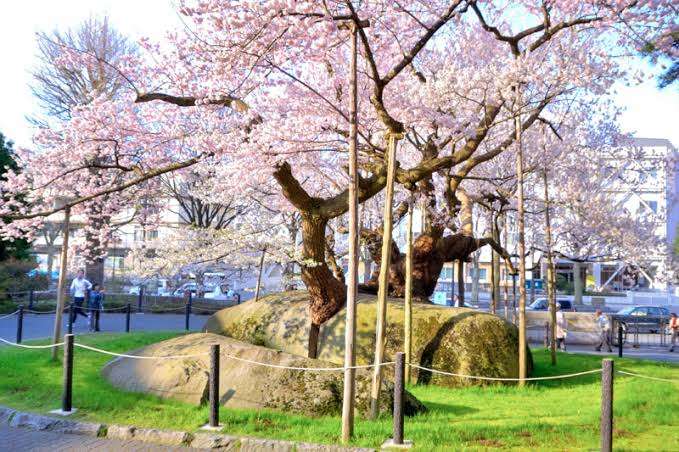 【定期トピ】自分と同じ市区町村のガルちゃん民を探すトピ