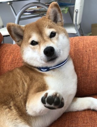 1番チョマテヨ感をだした人が優勝