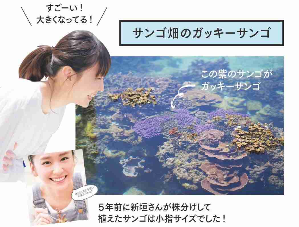 【画像】色んな新垣結衣が見たい