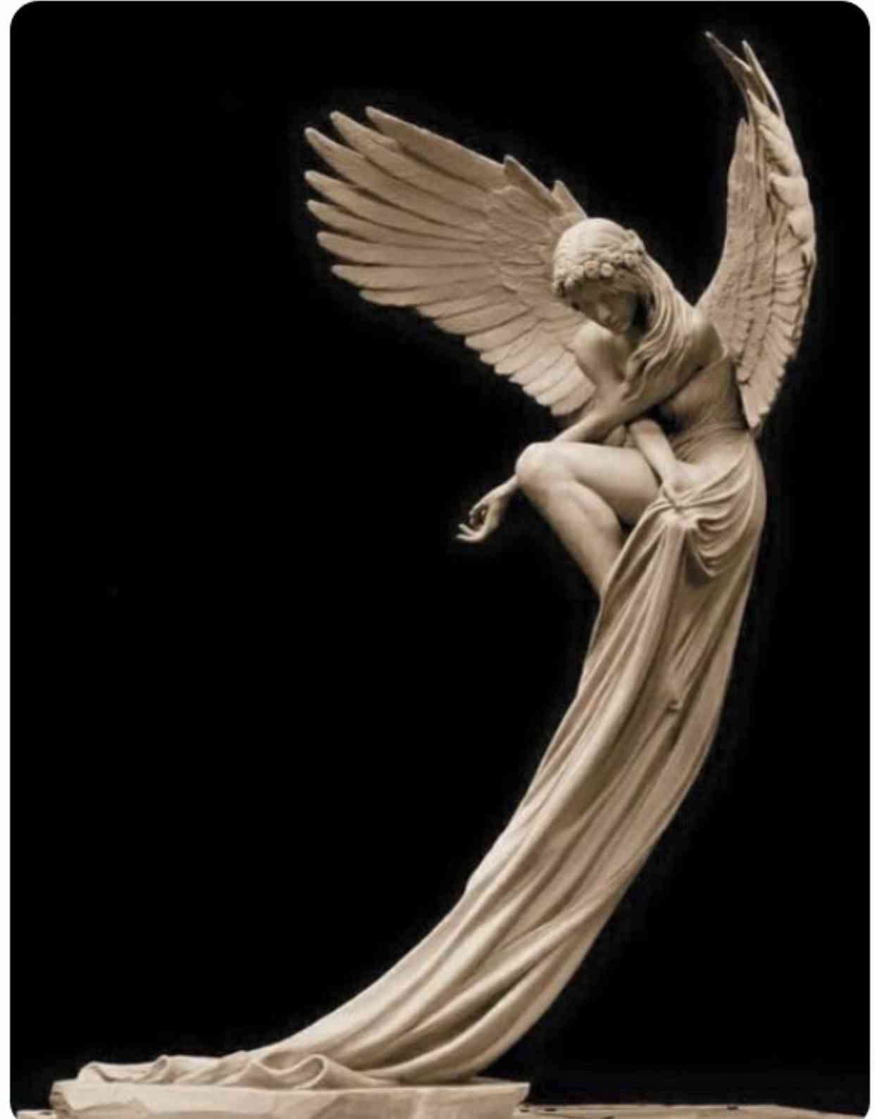 天使が好きな人👼