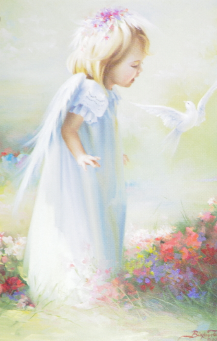 天使が好きな人👼