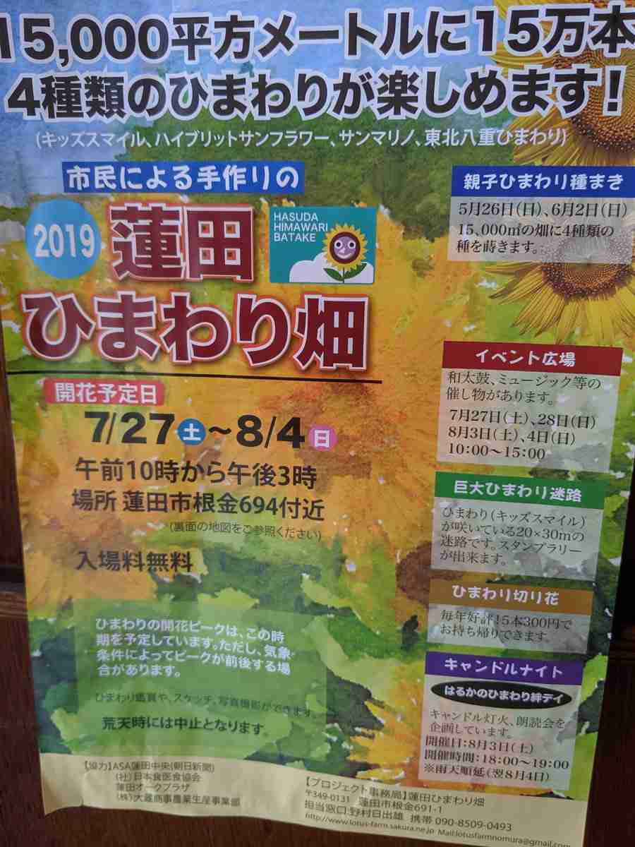 横浜流星くんを語りたい。