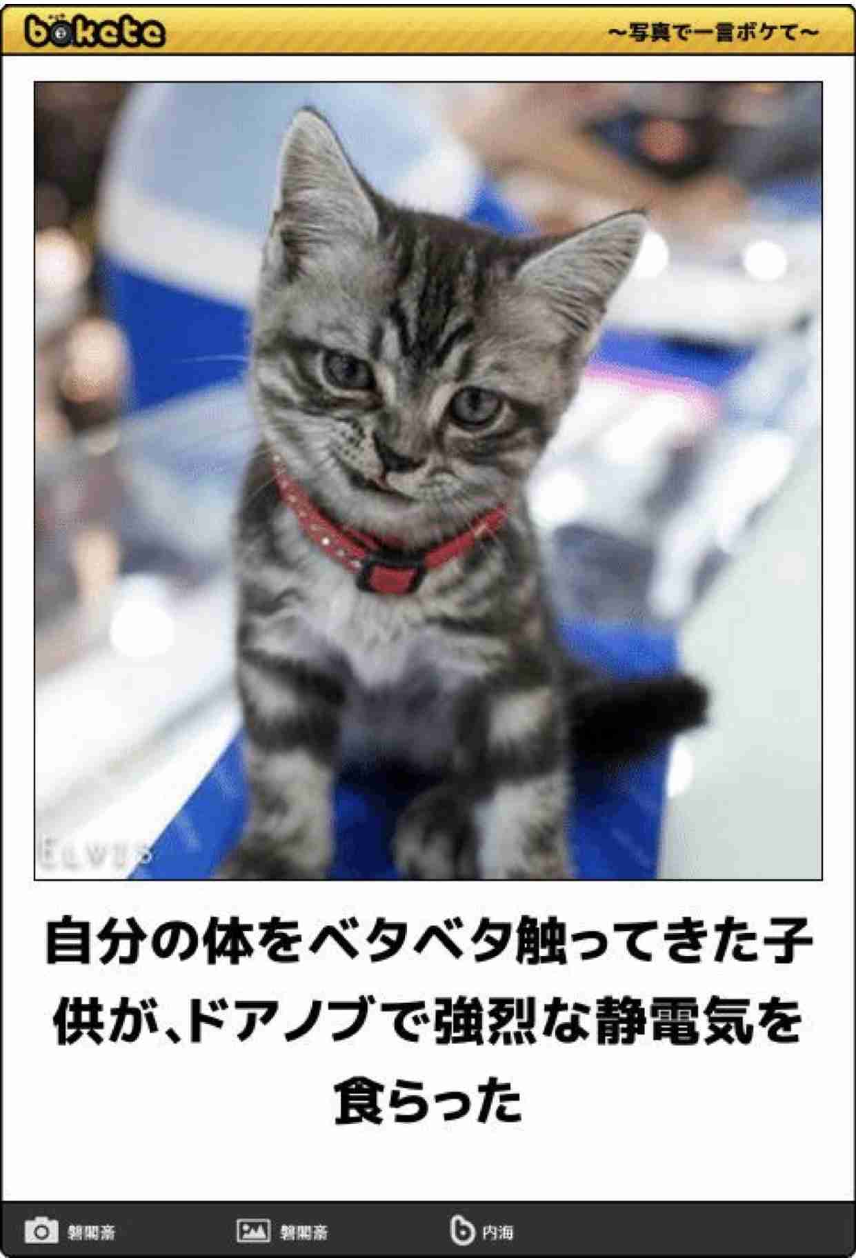 絶妙な表情をしてる画像を貼るトピ