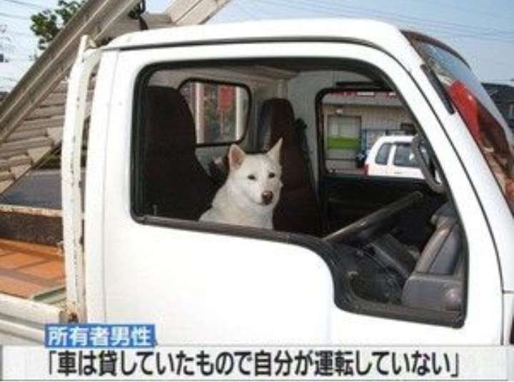 絶妙な表情をしてる画像を貼るトピ