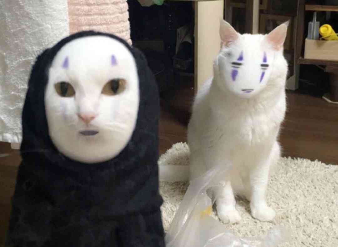 絶妙な表情をしてる画像を貼るトピ