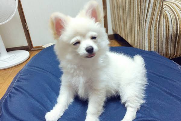 絶妙な表情をしてる画像を貼るトピ