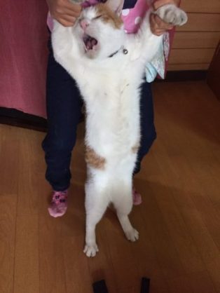 絶妙な表情をしてる画像を貼るトピ