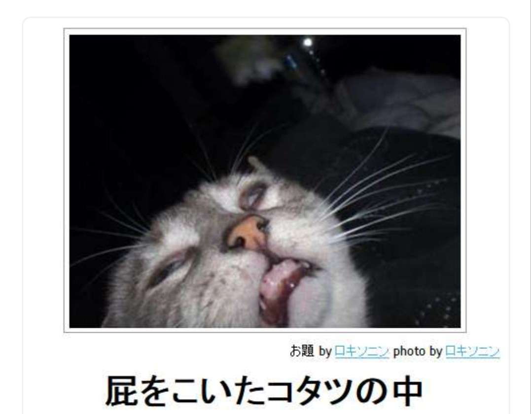 絶妙な表情をしてる画像を貼るトピ