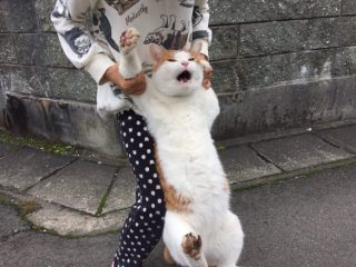 絶妙な表情をしてる画像を貼るトピ