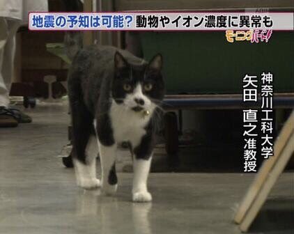 絶妙な表情をしてる画像を貼るトピ