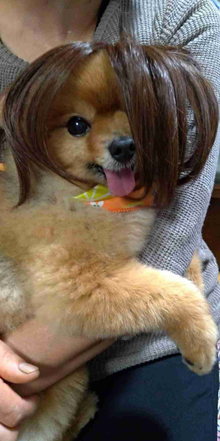 絶妙な表情をしてる画像を貼るトピ
