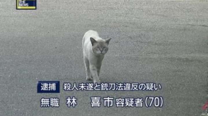 絶妙な表情をしてる画像を貼るトピ