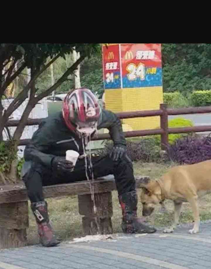絶妙な表情をしてる画像を貼るトピ