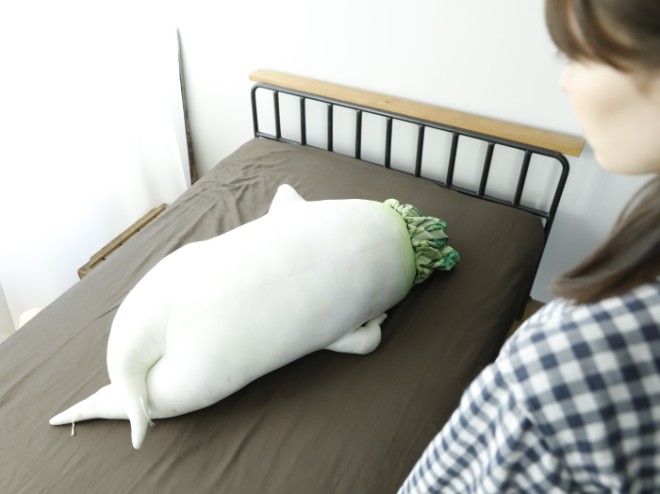 抱き枕使ってる方