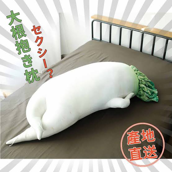 抱き枕使ってる方