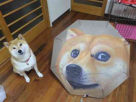 傘を盗まれた💢