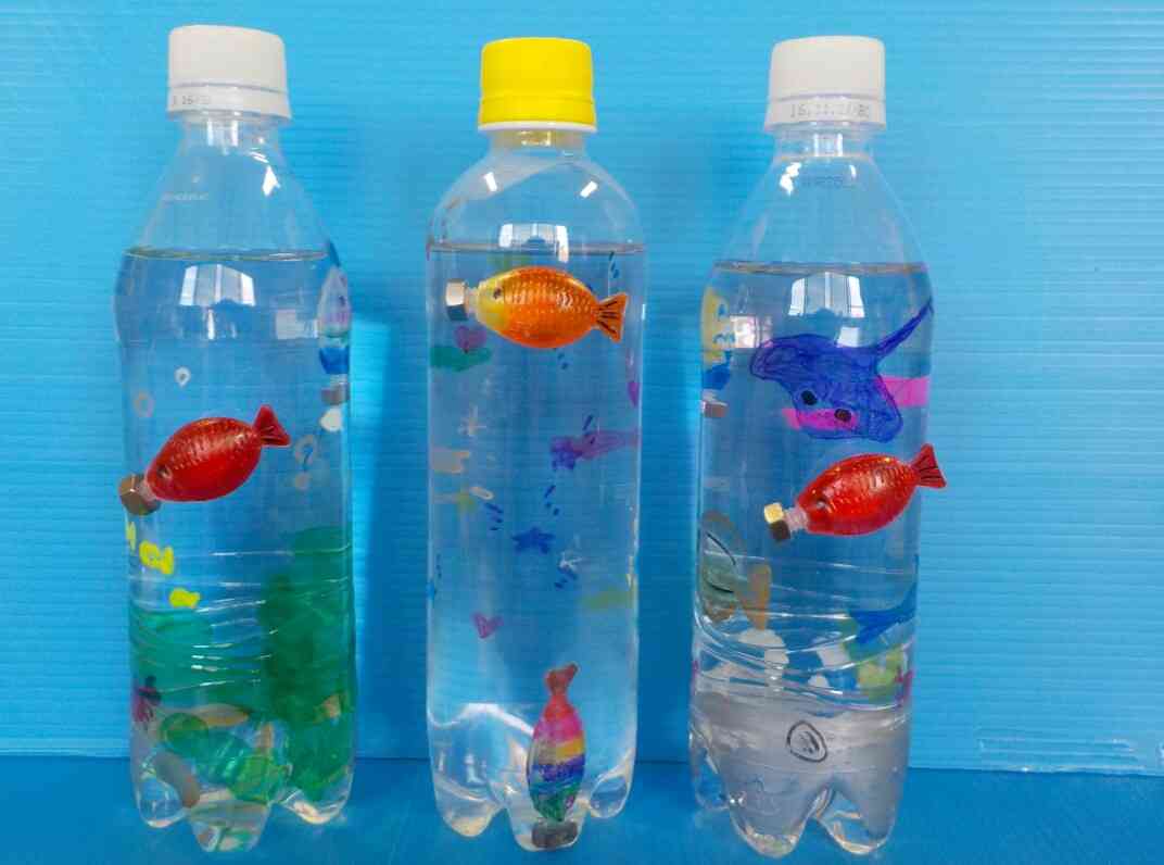 小学生の自由研究