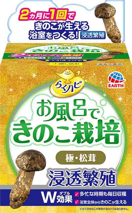 小学生の自由研究