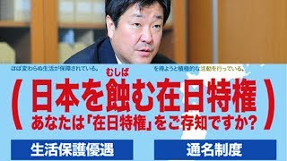丸山穂高議員が「NHKから国民を守る党」に入党へ