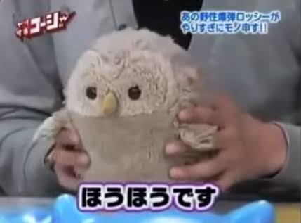 【上級者向け】お笑い好きなら知っていそうな人・もの
