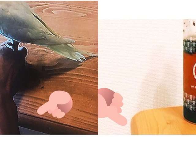 ジャニーズタレントあるある