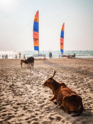 思い出深いアジアン・リゾート