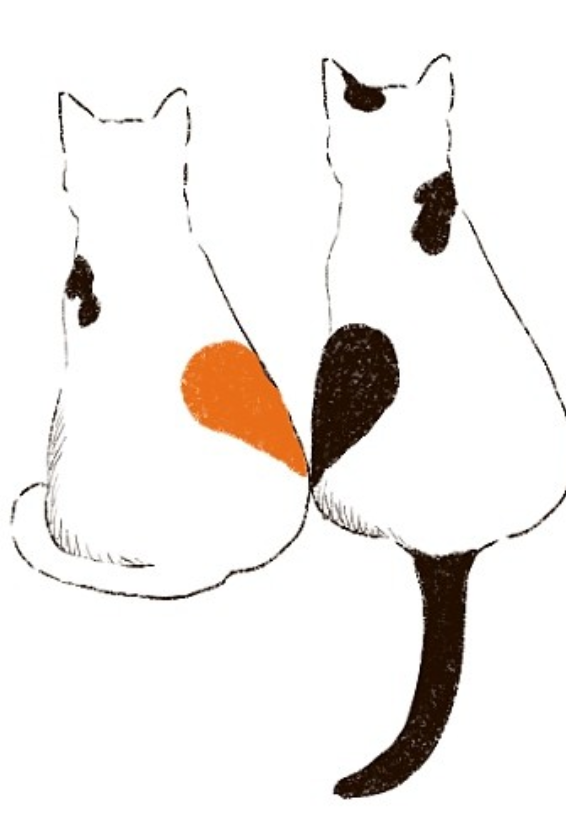 おりものシートについて