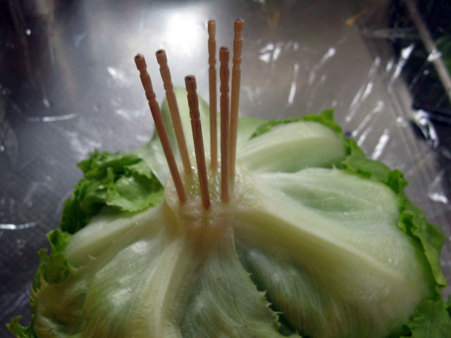 野菜の豆知識を発表し合う