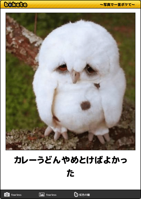 ガルちゃんに貼り付けようとして保存している画像を貼るトピ