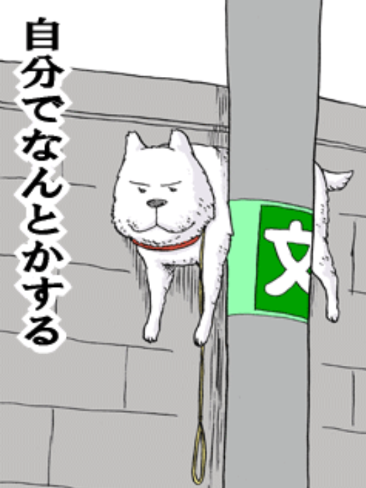 ガルちゃんに貼り付けようとして保存している画像を貼るトピ