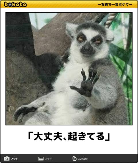 ガルちゃんに貼り付けようとして保存している画像を貼るトピ