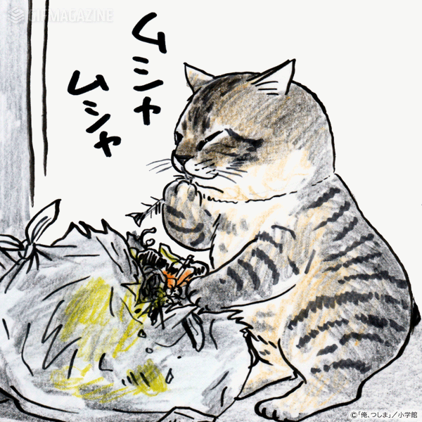 ガルちゃんに貼り付けようとして保存している画像を貼るトピ