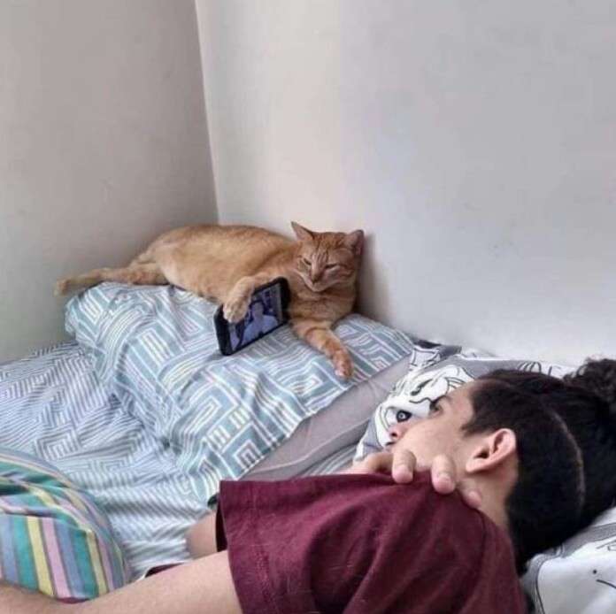 ガルちゃんに貼り付けようとして保存している画像を貼るトピ