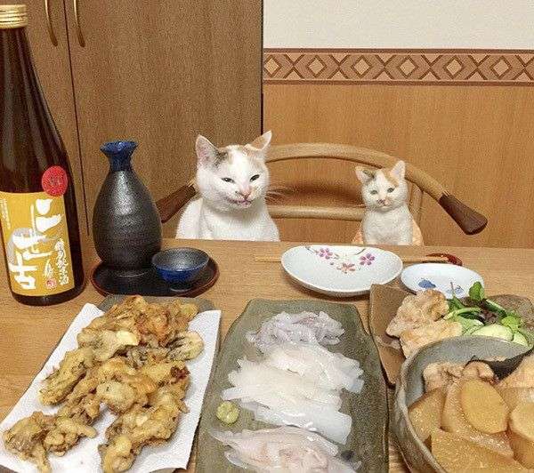 ガルちゃんに貼り付けようとして保存している画像を貼るトピ